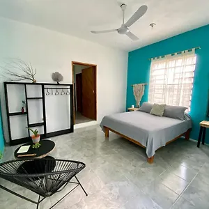 https://cada-iguana-by-jungla-bacalar-5ta-av.quintano-roohotels.com